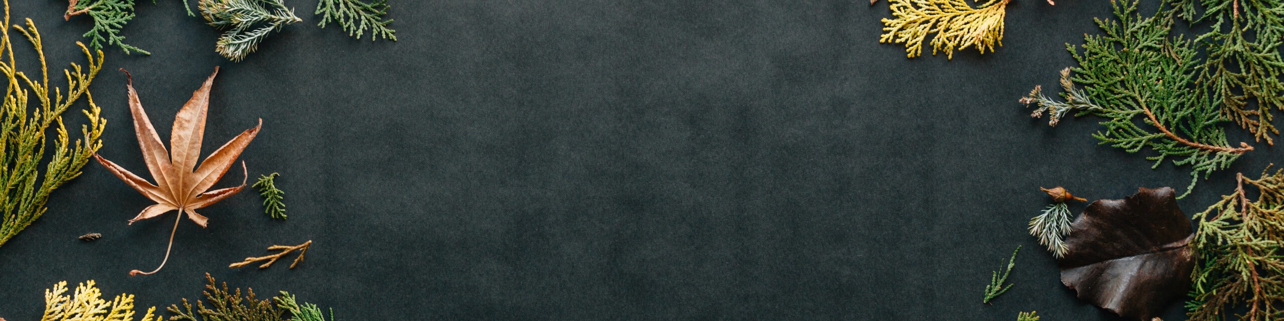 FIX this — free license by Author from Pixabay.com