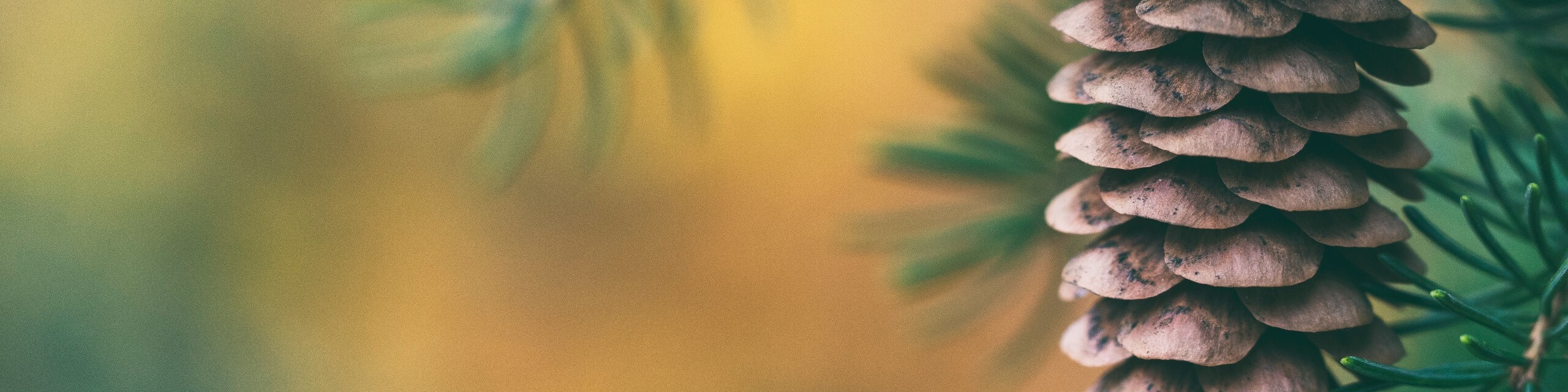 FIX this — free license by Author from Pixabay.com